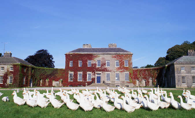 Navan: Ardbraccan House