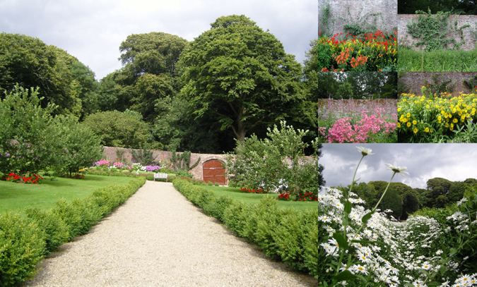 Saltmills: Colclough Walled Garden at Tintern Abbey