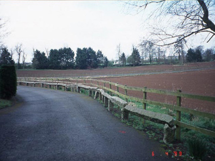 Pollerton House, POLLERTON BIG,  Co. CARLOW