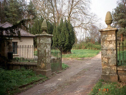 Johnstown House, JOHNSTOWN,  Co. CARLOW