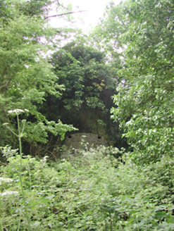 Gunpowder Mills, CORKAGH DEMESNE,  Co. DUBLIN