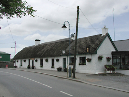 Brian McEvoy, NEWCASTLE NORTH, Newcastle,  Co. DUBLIN