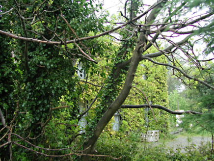 Riversdale House, Ballyboden Road,  OLDORCHARD, Ballyboden,  Co. DUBLIN