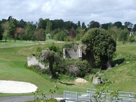 Edmondstown Road,  NEWTOWN (RA. BY.),  Co. DUBLIN