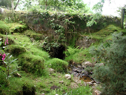 GLASSAMUCKY BRAKES,  Co. DUBLIN