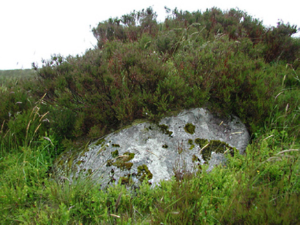 R115, Military Road, GLASSAMUCKY MOUNTAIN,  Co. DUBLIN