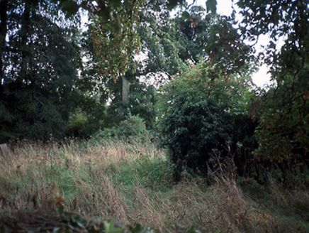 ABBOTSTOWN,  Co. DUBLIN