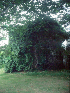 Howth Castle, Howth Road,  HOWTH DEMESNE, Howth,  Co. DUBLIN
