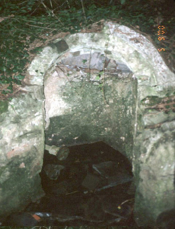 Saint Catherine's Holy Wells, ST. CATHERINE'S PARK, Leixlip,  Co. DUBLIN