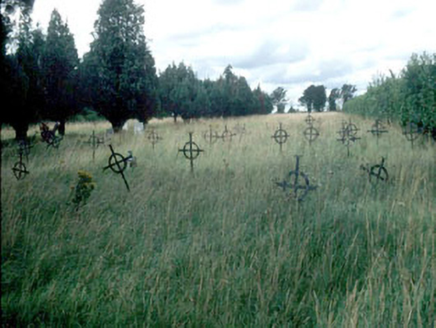 Saint Mary's Burial Ground, Rockfield Road,  WOODSTOCK NORTH, Athy,  Co. KILDARE