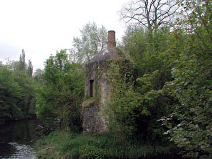 Leixlip Castle, LEIXLIP DEMESNE, Leixlip,  Co. KILDARE