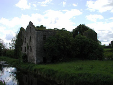 Milltown Mill, MILLTOWN (FEIGHCULLEN ED),  Co. KILDARE