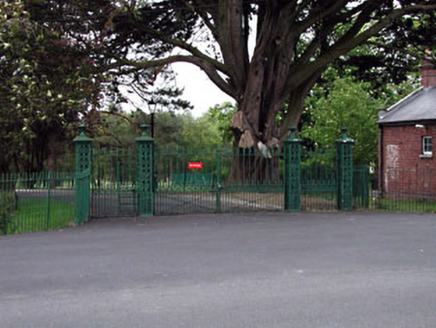 Collins Road East,  CURRAGH (BALLYSAX EAST ED), Curragh Camp,  Co. KILDARE