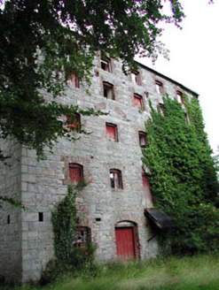 Prumplestown Mill, JOHNSTOWN SOUTH,  Co. KILDARE