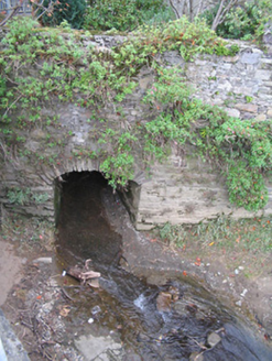 THOMASTOWN, Thomastown,  Co. KILKENNY