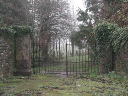 Knocktopher Abbey, KNOCKTOPHERABBEY, Knocktopher,  Co. KILKENNY