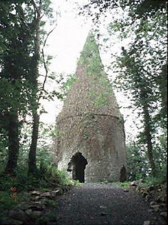 The Spire, BALLYMORRIS,  Co. LAOIS