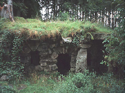 Ballyfin House, BALLYFIN DEMESNE, Ballyfin,  Co. LAOIS
