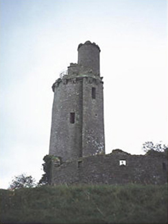 Ballyfin House, BALLYFIN DEMESNE, Ballyfin,  Co. LAOIS