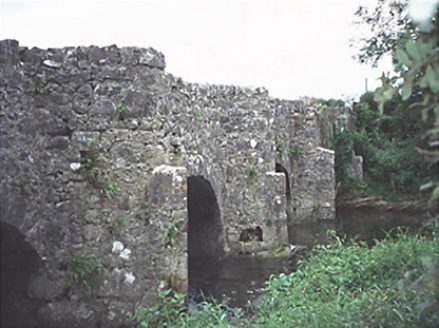 MILL LAND,  Co. LAOIS