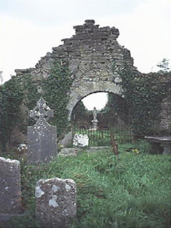 CLOPOOK,  Co. LAOIS