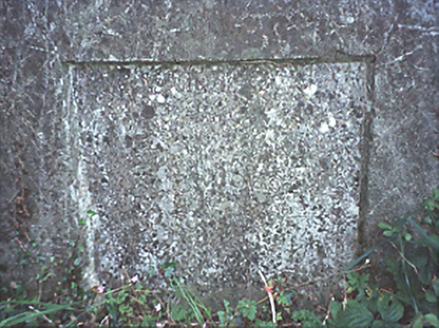 BLACKFORD,  Co. LAOIS