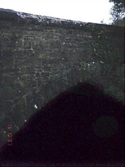 Quakers Bridge, BALLINTAGGART (CL. BY.),  Co. LAOIS