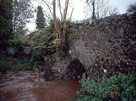 Moneymore Bridge, CLONONEEN,  Co. LAOIS