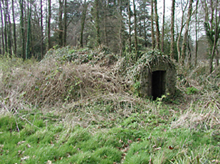 Abbey Leix, ABBEYLEIX DEMESNE, Abbeyleix,  Co. LAOIS