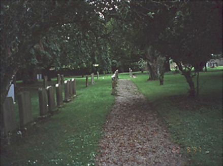 TINNEEL, Rosenallis,  Co. LAOIS