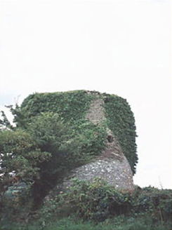 CAPARD, Rosenallis,  Co. LAOIS