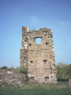 Ballinakill Castle, Castle Lane,  BALLINAKILL, Ballinakill,  Co. LAOIS