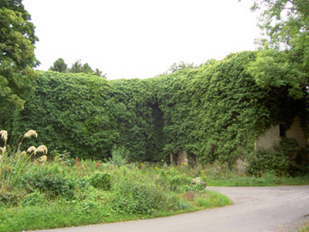 MOSSTOWN (RATHCLINE BY.), Keenagh,  Co. LONGFORD