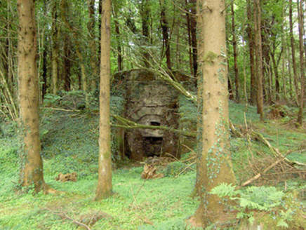 MOSSTOWN (MOYDOW BY.), Keenagh,  Co. LONGFORD