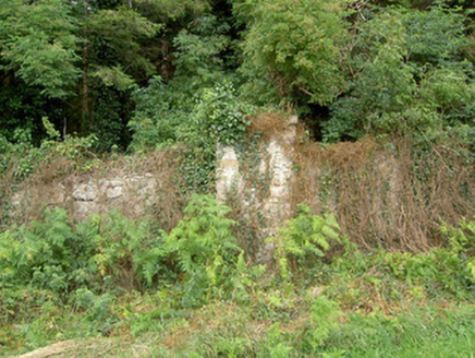 MOSSTOWN (MOYDOW BY.), Keenagh,  Co. LONGFORD