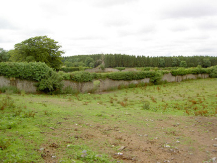 Mosstown House, MOSSTOWN (MOYDOW BY.), Keenagh,  Co. LONGFORD