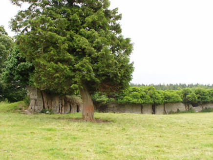 Fox Hall, FOXHALL, Legan,  Co. LONGFORD