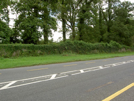 Castle Forbes, DEERPARK (LONGFORD BY.), Newtown Forbes,  Co. LONGFORD