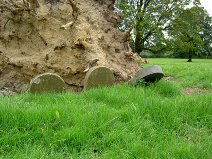 Currygrane House, CURRYGRANE,  Co. LONGFORD