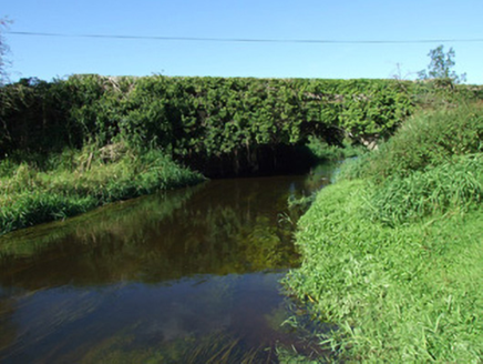 RHINE,  Co. LONGFORD