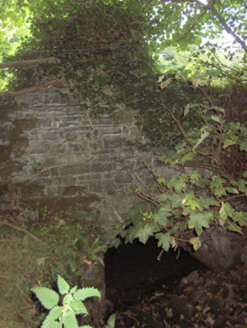 KILSHRULEY,  Co. LONGFORD