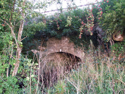 CLOONTURK,  Co. LONGFORD