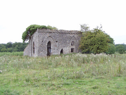 Carrigglas Manor, CARRICKGLASS DEMESNE (ARDAGH BY.),  Co. LONGFORD
