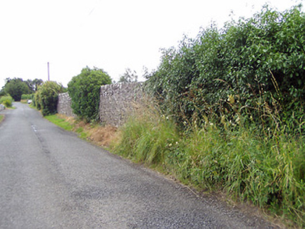 Carrigglas Manor, CARRICKGLASS DEMESNE (ARDAGH BY.),  Co. LONGFORD