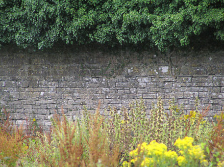 Cartroncar House, CARTRONCAR,  Co. LONGFORD