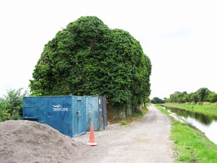 CARTRONBOY,  Co. LONGFORD