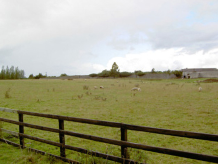 Newcastle, NEWCASTLE,  Co. LONGFORD