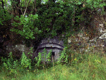 Newcastle, NEWCASTLE,  Co. LONGFORD