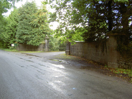 Newcastle, NEWCASTLE,  Co. LONGFORD