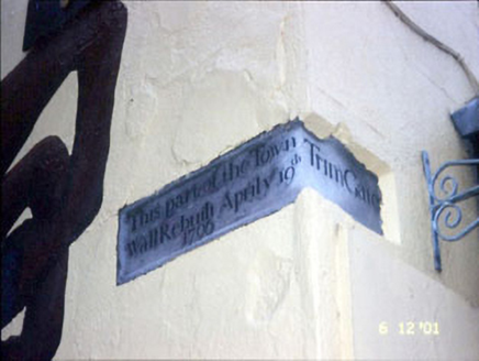 22 Trimgate Street,  TOWNPARKS, Navan,  Co. MEATH